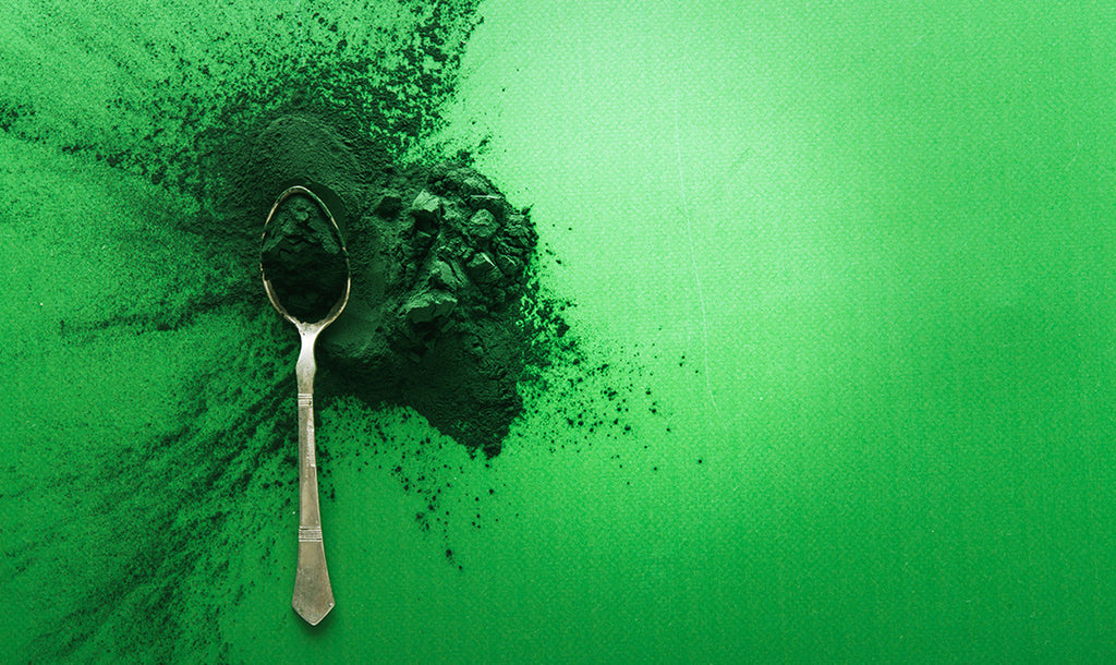 Alga spirulina: effetti benefici a prova di radiazioni
