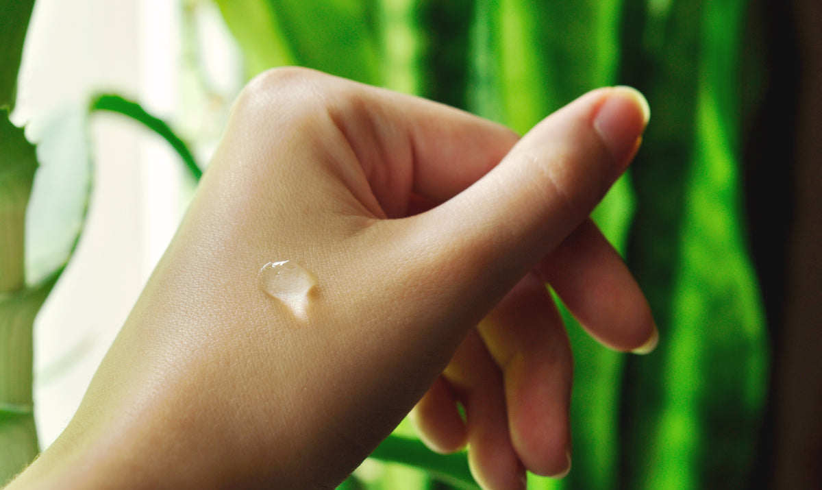 Aloe Vera nella Cosmesi. Proprietà e benefici