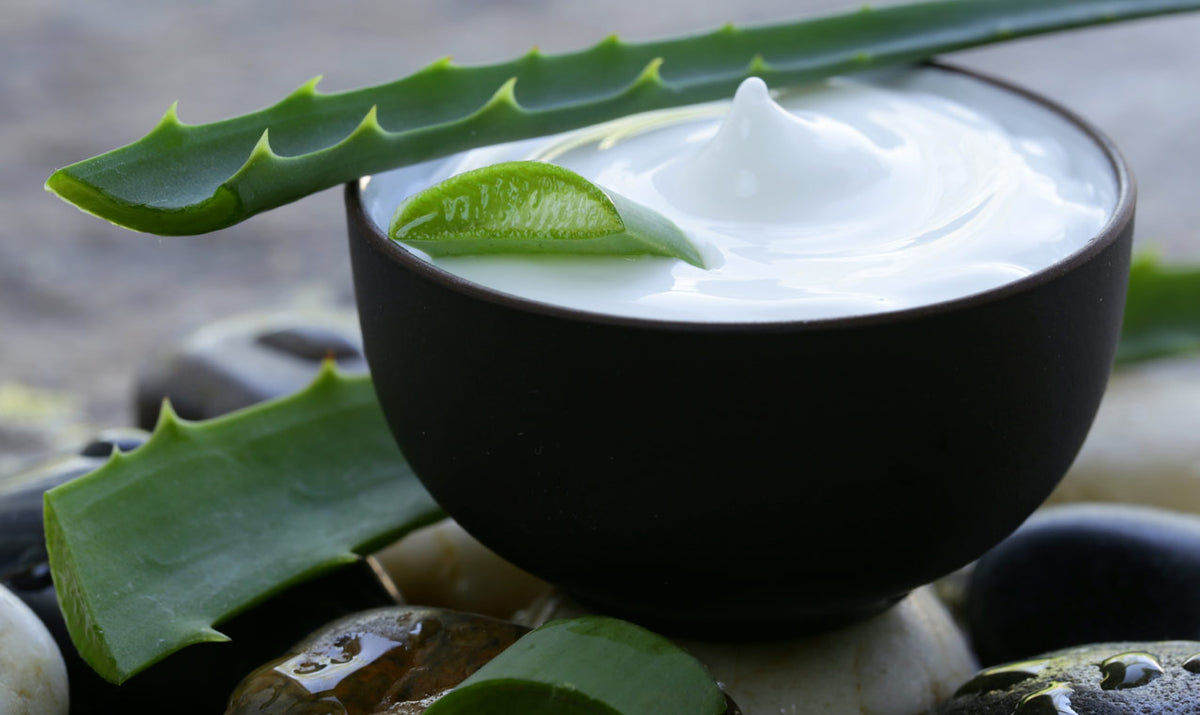Le proprietà cosmetiche dell’Aloe Vera