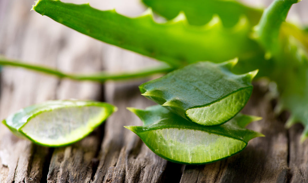 Il Succo di Aloe Vera Herb Defense: sostieni le tue difese naturali