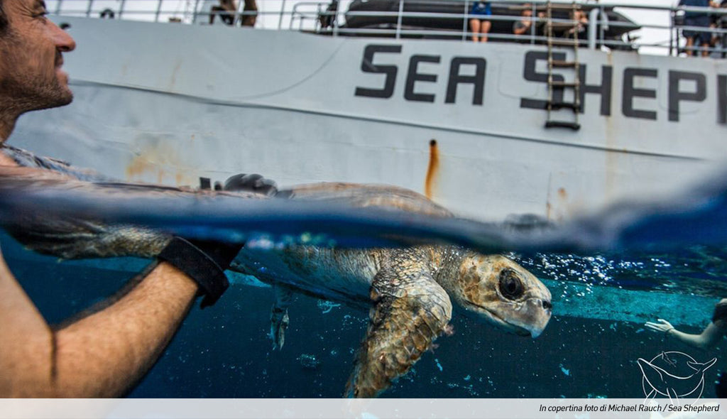 Bioearth sostiene Sea Shepherd Global