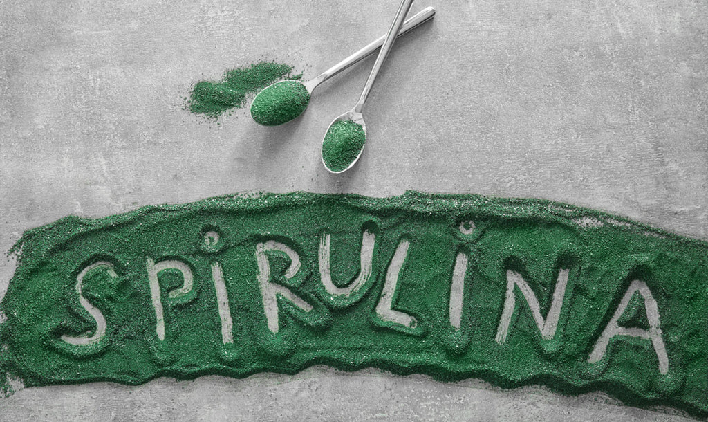 La nostra prima fiera