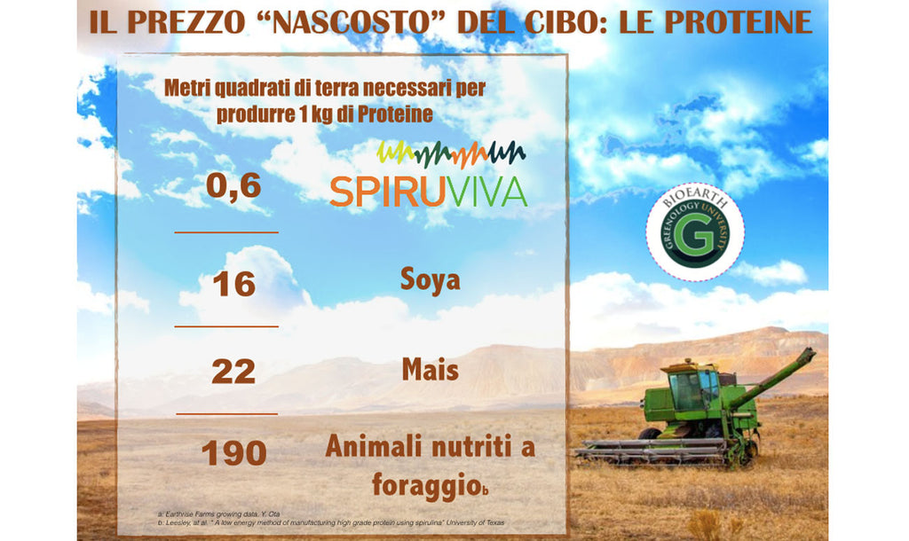 Proteine Vegetali vs Animali